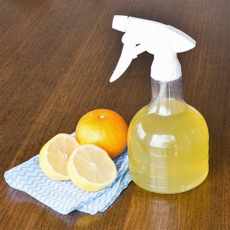 Citrus Infused Magic Spray: The Secret Weapon for a Clean and Fresh Home